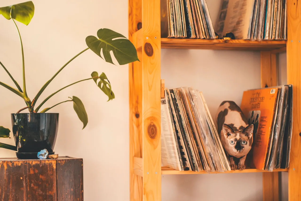 Meuble de rangement pour disques vinyle